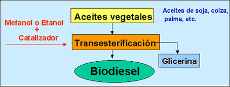 Biodiesel en Promecio - Tecnología de punta
